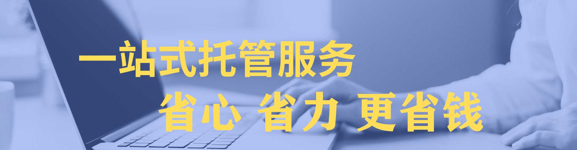 金平sem优化